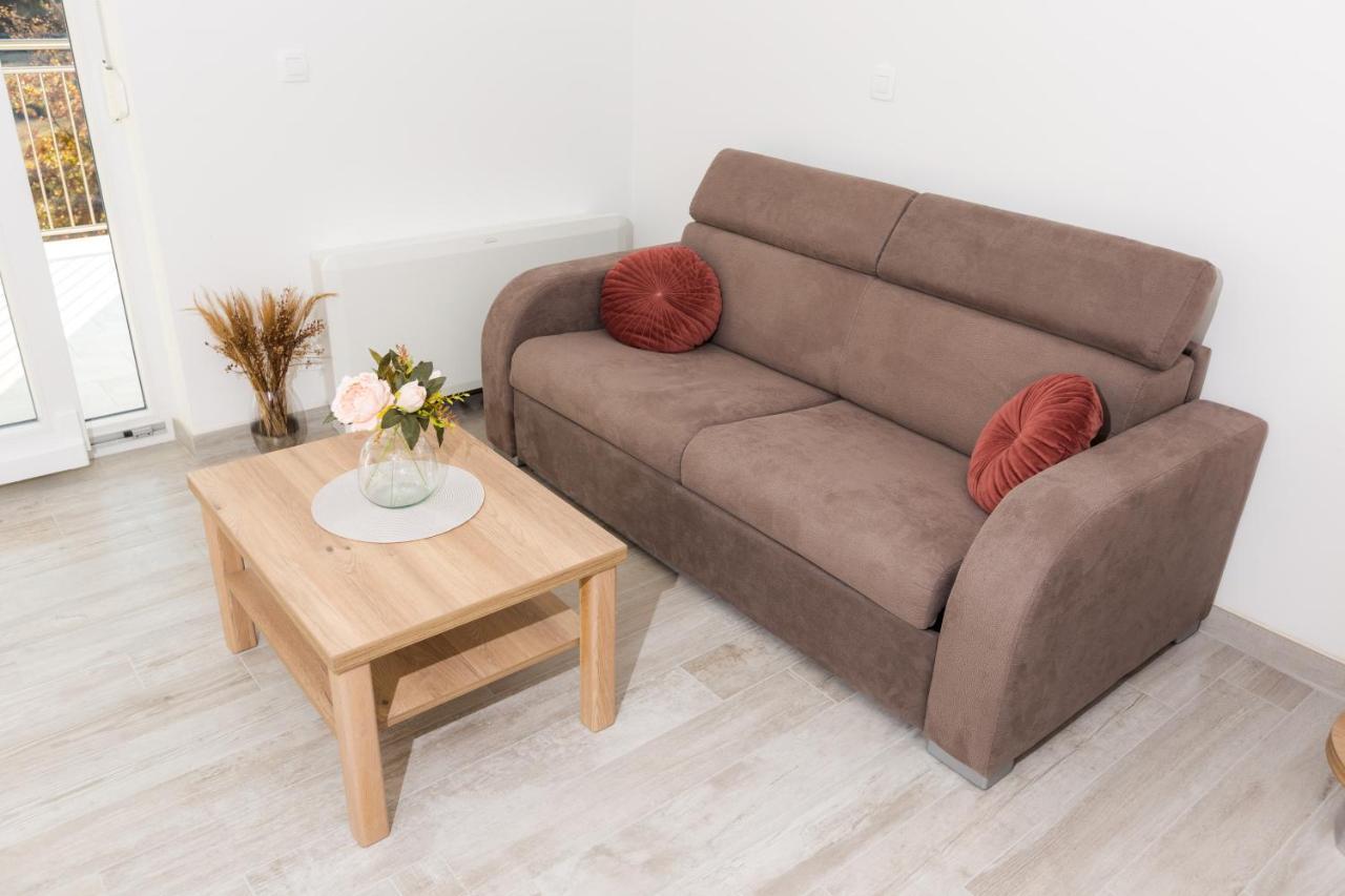 Apartmani Villa Paulo ستاريغغاد باكلينتسا المظهر الخارجي الصورة